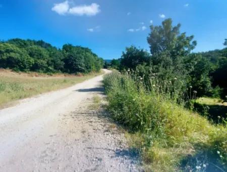 Coupon Field With Main Road Frontage Suitable For Nature Enthusiasts To Put Tiny House For Urgent Sale In Tekirdag Çanakçi Neighborhood