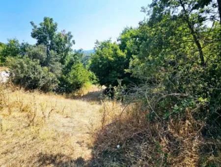 Coupon Field With Main Road Frontage Suitable For Nature Enthusiasts To Put Tiny House For Urgent Sale In Tekirdag Çanakçi Neighborhood