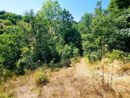 Coupon Field With Main Road Frontage Suitable For Nature Enthusiasts To Put Tiny House For Urgent Sale In Tekirdag Çanakçi Neighborhood