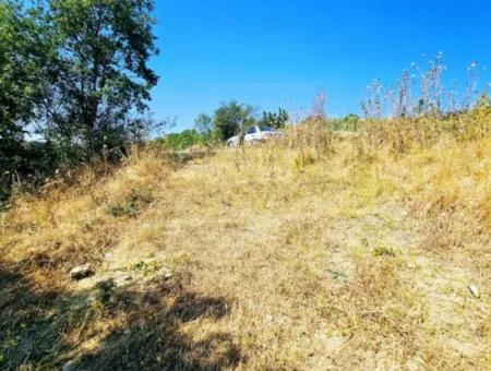 Coupon Field With Main Road Frontage Suitable For Nature Enthusiasts To Put Tiny House For Urgent Sale In Tekirdag Çanakçi Neighborhood