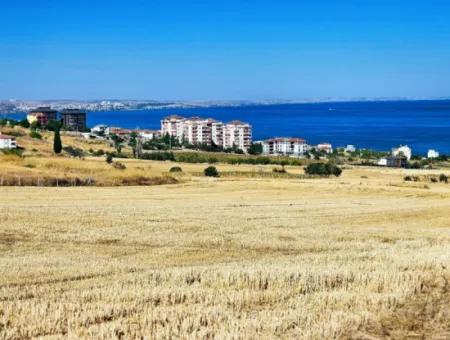 Coupon Land For Urgent Sale Suitable For Building A Detached House In Tekirdag Barbarosta