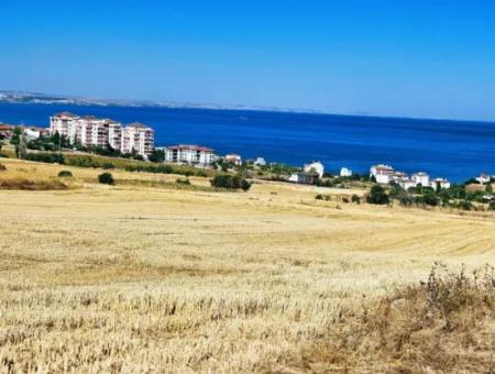 Coupon Land For Urgent Sale Suitable For Building A Detached House In Tekirdag Barbarosta