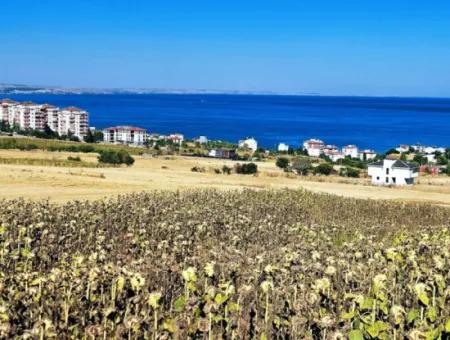 Coupon Land For Urgent Sale Suitable For Building A Detached House In Tekirdag Barbarosta