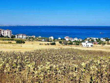 Coupon Land For Urgent Sale Suitable For Building A Detached House In Tekirdag Barbarosta