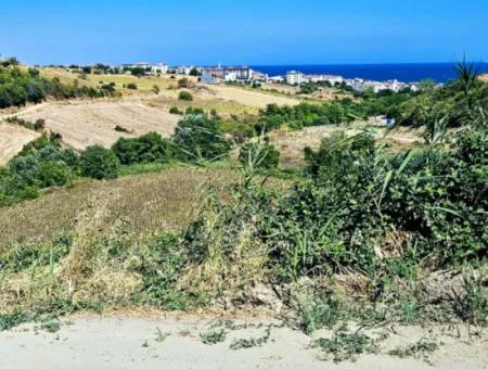 9.100 M2 Villa Zoned Field For Urgent Sale In Tekirdag Barbarosta