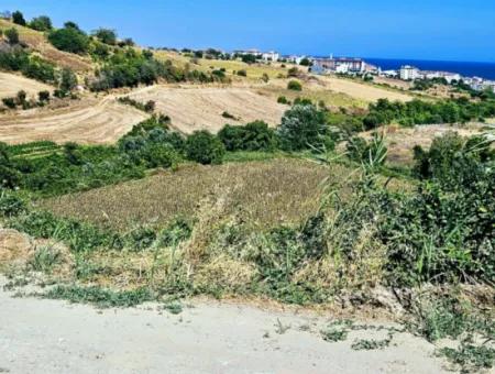 9.100 M2 Villa Zoned Field For Urgent Sale In Tekirdag Barbarosta