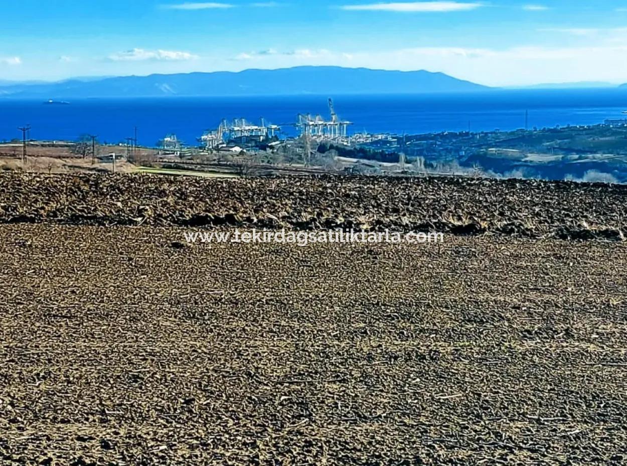 Acil Satılık Fabrikalar Bölgesinde 5.400 M2 Yüksek Kazanç Garantisi Fırsat Yer