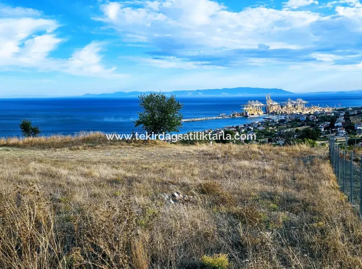 Tekirdağ Barbarosta Acil Satılık Full Deniz Manzaralı Kooparetif Site Yapımına Uygun 3.300 M2 Net Arsa