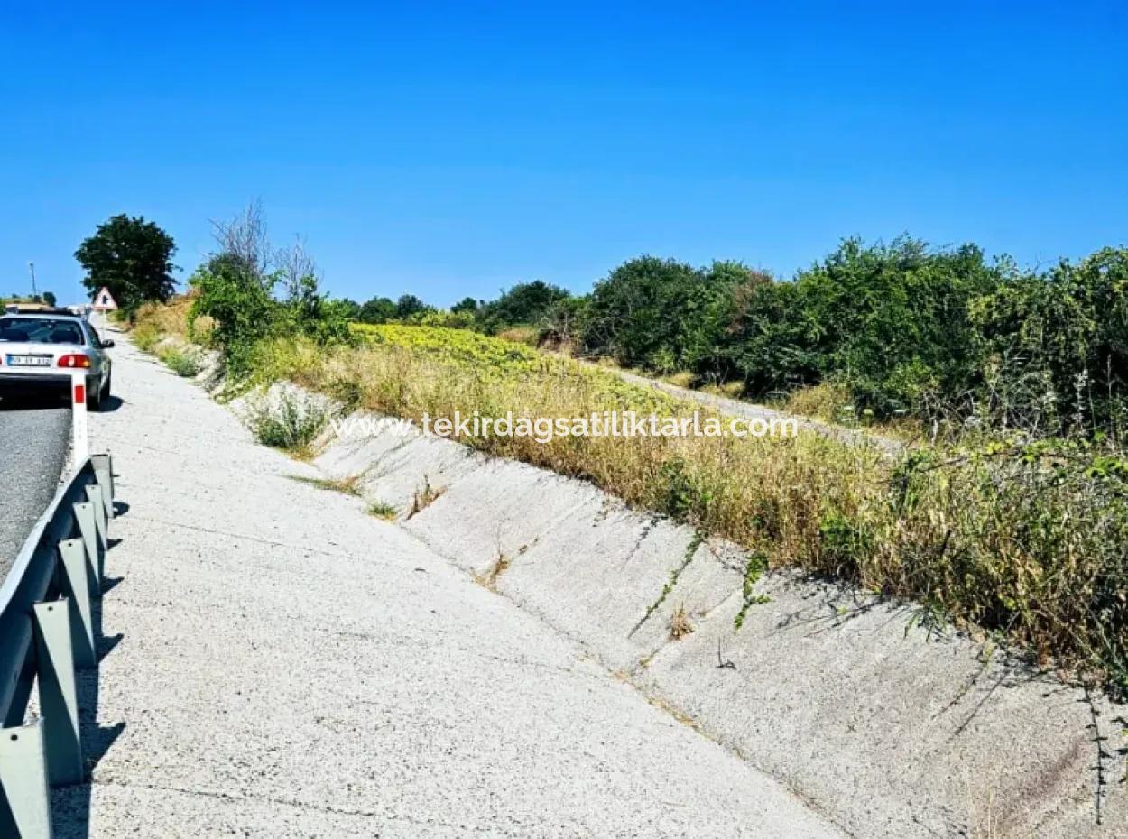 Tekirdağ Aşağkılıçlı Mah. Anayol Cepheli 2.340 M2 Al - Sata Uygun Yüksek Kazanç Vaaed Eden Acil Satılık Kupon Tarla