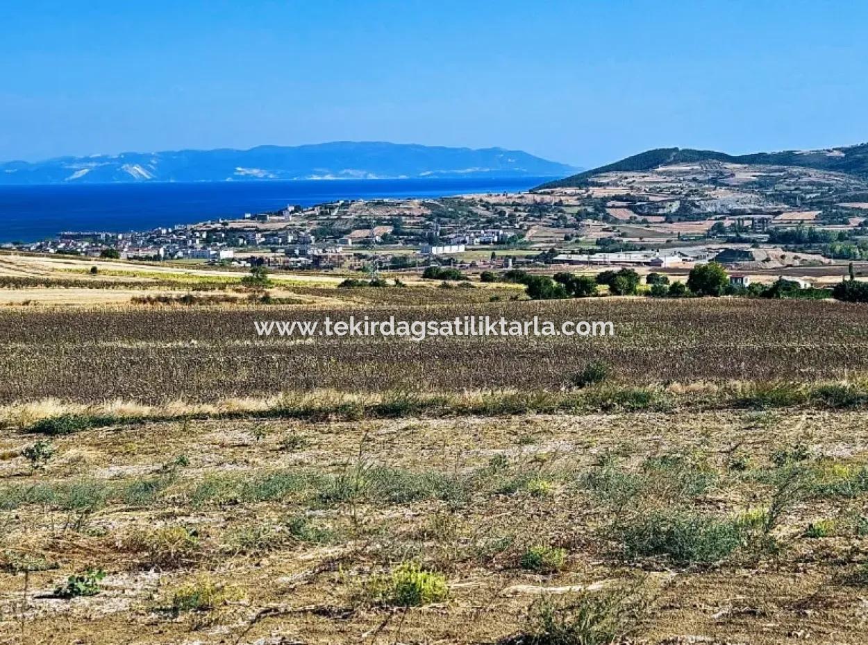 Asyaport Limanı Mevcut İmar Planı İçinde ( Ticari & Sanai ) Alanı Bölgedinde Acil Satılık 6.400 M2 Yatırım Fırsatı