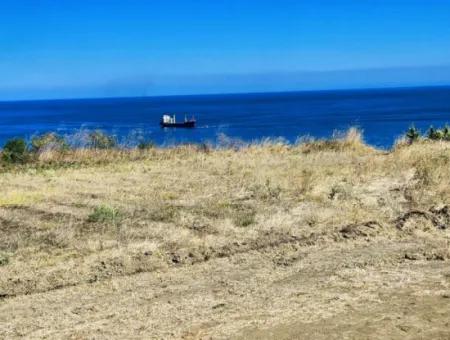 Tekirdağ Barbarosta Acil Satılık Full Deniz Manzaralı Müstakil Ev Yapmaya Uygun Kupon Arsa