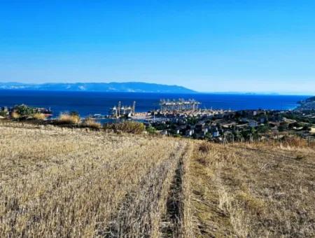 Tekirdağ Barbarosta Acil Satılık Full Deniz Manzaralı 765 M2 Kelepir Arsa