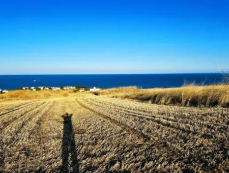 Tekirdağ Barbarosta  Acil Satılık 1.750 M2 Full Deniz Manzaralı Kelepir Köşe Arsa