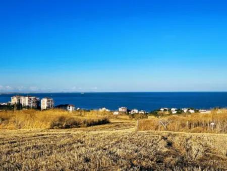 Tekirdağ Barbarosta  Acil Satılık 1.750 M2 Full Deniz Manzaralı Kelepir Köşe Arsa