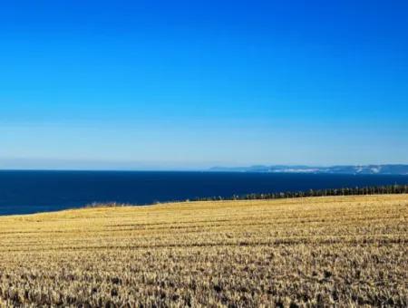 Tekirdağ Barbarosta  Acil Satılık 1.750 M2 Full Deniz Manzaralı Kelepir Köşe Arsa