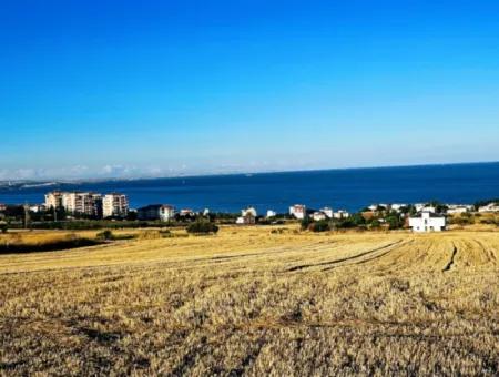 Tekirdağ Barbarosta  Acil Satılık 1.750 M2 Full Deniz Manzaralı Kelepir Köşe Arsa