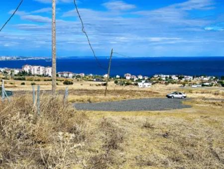 Tekirdağ Barbarosta Acil Satılık Hayelinizdeki Müstakik Evinizi Yapmaya Uygun Fırsat Arsa