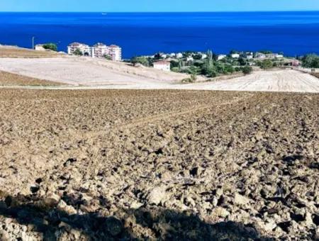 Tekirdağ Barbrosta Acil Satılık Yatırımcısına Yüksek Kazanç Garantisi 50 Dairelik Kooparetif Ve Site Yapımına Uygun Arazi