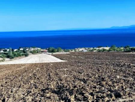 Tekirdağ Barbrosta Acil Satılık Yatırımcısına Yüksek Kazanç Garantisi 50 Dairelik Kooparetif Ve Site Yapımına Uygun Arazi