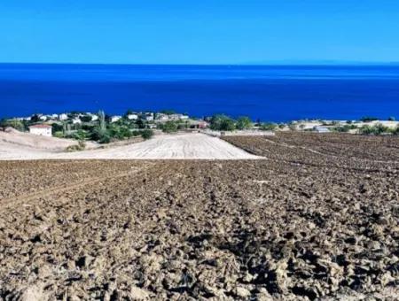 Tekirdağ Barbrosta Acil Satılık Yatırımcısına Yüksek Kazanç Garantisi 50 Dairelik Kooparetif Ve Site Yapımına Uygun Arazi