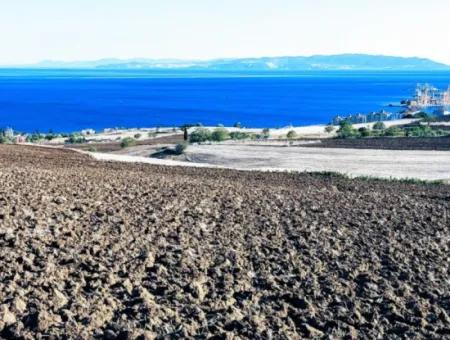 Tekirdağ Barbrosta Acil Satılık Yatırımcısına Yüksek Kazanç Garantisi 50 Dairelik Kooparetif Ve Site Yapımına Uygun Arazi