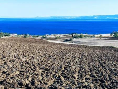 Tekirdağ Barbrosta Acil Satılık Yatırımcısına Yüksek Kazanç Garantisi 50 Dairelik Kooparetif Ve Site Yapımına Uygun Arazi