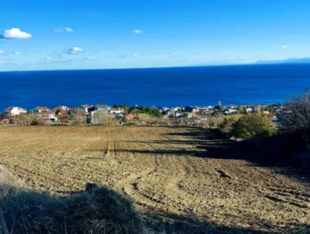 Tekirdağ Barbarosta Acil Satılık 42 Dairelik Kooparetif Site Yapımına Uygun Full Deniz Manzaralı Konut İmarlı Arazi