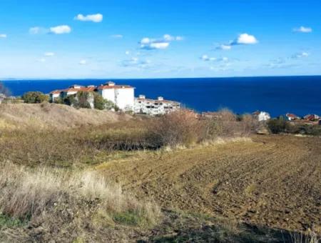 Tekirdağ Barbarosta Acil Satılık 42 Dairelik Kooparetif Site Yapımına Uygun Full Deniz Manzaralı Konut İmarlı Arazi