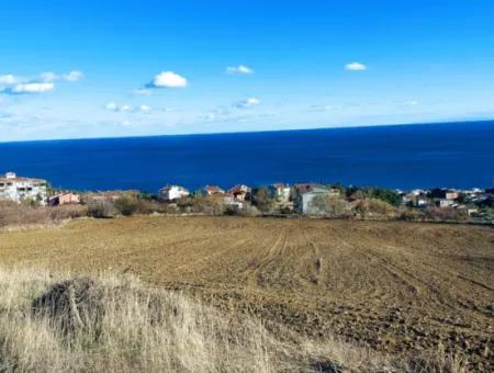 Tekirdağ Barbarosta Acil Satılık 42 Dairelik Kooparetif Site Yapımına Uygun Full Deniz Manzaralı Konut İmarlı Arazi