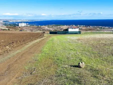 Tekirdağ Barbarosta Acil Satılık 15.000 M2 Villa İmarlı Arazi