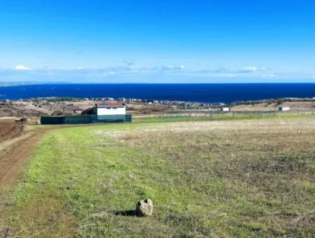 Tekirdağ Barbarosta Acil Satılık 15.000 M2 Villa İmarlı Arazi