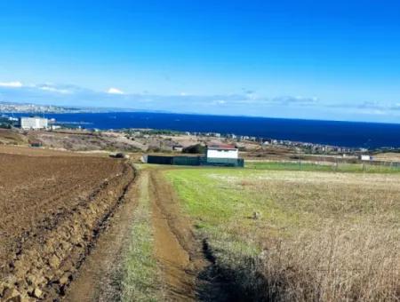 Tekirdağ Barbarosta Acil Satılık 15.000 M2 Villa İmarlı Arazi