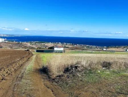 Tekirdağ Barbarosta Acil Satılık 15.000 M2 Villa İmarlı Arazi