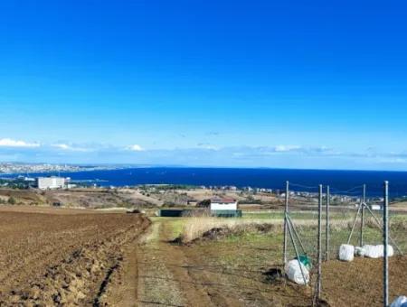 Tekirdağ Barbarosta Acil Satılık 15.000 M2 Villa İmarlı Arazi