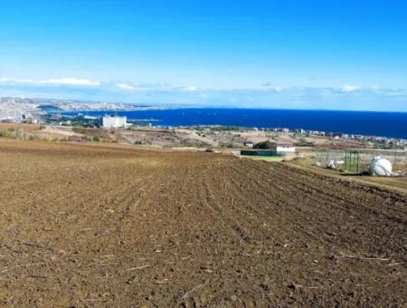 Tekirdağ Barbarosta Acil Satılık 15.000 M2 Villa İmarlı Arazi