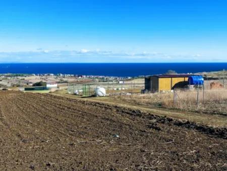 Tekirdağ Barbarosta Acil Satılık 15.000 M2 Villa İmarlı Arazi