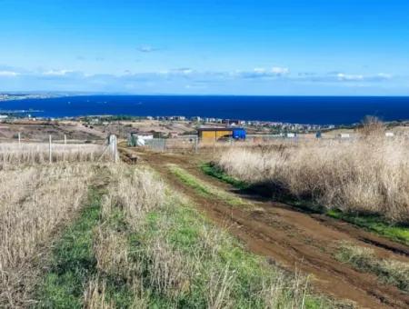 Tekirdağ Barbarosta Acil Satılık 15.000 M2 Villa İmarlı Arazi