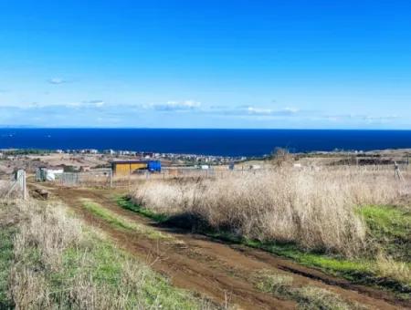 Tekirdağ Barbarosta Acil Satılık 15.000 M2 Villa İmarlı Arazi