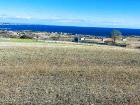 Tekirdağ Barbarosta Acil Satılık 15.000 M2 Villa İmarlı Arazi