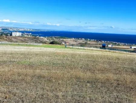 Tekirdağ Barbarosta Acil Satılık 15.000 M2 Villa İmarlı Arazi