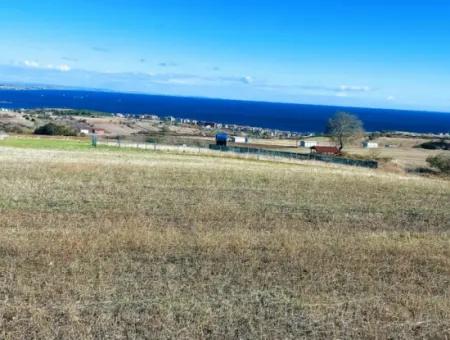 Tekirdağ Barbarosta Acil Satılık 15.000 M2 Villa İmarlı Arazi