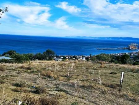 Tekirdağ Barbarosta Acil Satılık Full Deniz Manzaralı Kooparetif Site Yapımına Uygun 3.300 M2 Net Arsa