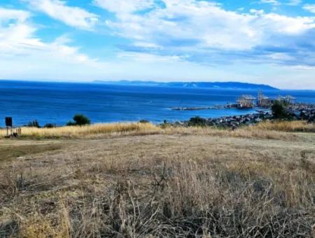 Tekirdağ Barbarosta Acil Satılık Full Deniz Manzaralı Kooparetif Site Yapımına Uygun 3.300 M2 Net Arsa