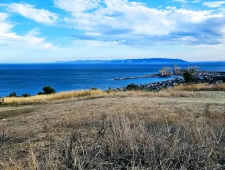 Tekirdağ Barbarosta Acil Satılık Full Deniz Manzaralı Kooparetif Site Yapımına Uygun 3.300 M2 Net Arsa