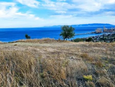 Tekirdağ Barbarosta Acil Satılık Full Deniz Manzaralı Kooparetif Site Yapımına Uygun 3.300 M2 Net Arsa