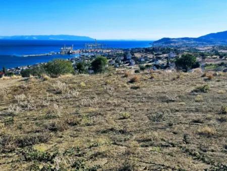 Tekirdağ Barbarosta Acil Satılık Full Deniz Manzaralı Kooparetif Site Yapımına Uygun 3.300 M2 Net Arsa