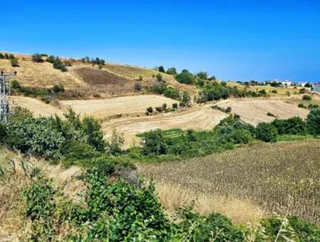 Tekirdağ Barbarosta 9.100 M2 Acil Satılık İster Parsel Yap İstersen Villa Yap Yüksek Kazanç Garantisi