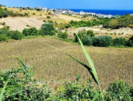 Tekirdağ Barbarosta 9.100 M2 Acil Satılık İster Parsel Yap İstersen Villa Yap Yüksek Kazanç Garantisi