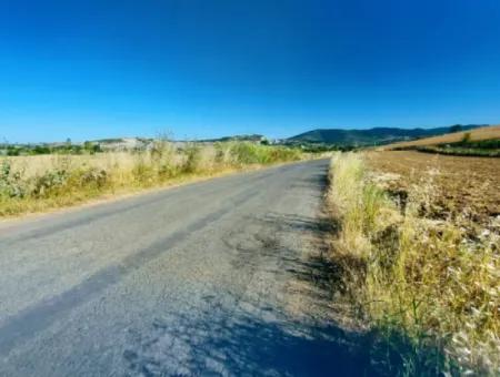 Tekirdağ Naip Mahallesinde Acil Satılık Anayol Cepheli Tıny House Kurmak İçin Harika Fırsat Tarla