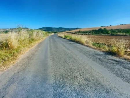 Tekirdağ Naip Mahallesinde Acil Satılık Anayol Cepheli Tıny House Kurmak İçin Harika Fırsat Tarla